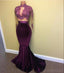 Sexy Two Pieces Long Sleeve See Through Lace Beaded Evening Prom Dresses, Popular Purple Party Prom Dress, Custom Long Prom Dresses, Cheap Formal Prom Dresses, 17162
