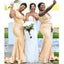 Sexy Champagne Mermaid V-neck Maxi Long Bridesmaid Dresses For Wedding,WG1759
