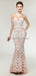 Illusion Lace Mermaid Long Evening Prom Dresses, Evening Party Prom Dresses, 12010